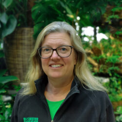 Annika Blomstertorget