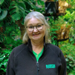 Eljena Blomstertorget