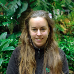 Erica Blomstertorget