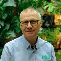 Johan Blomstertorget