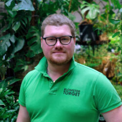 Oliver Blomstertorget