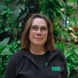 Petra Blomstertorget