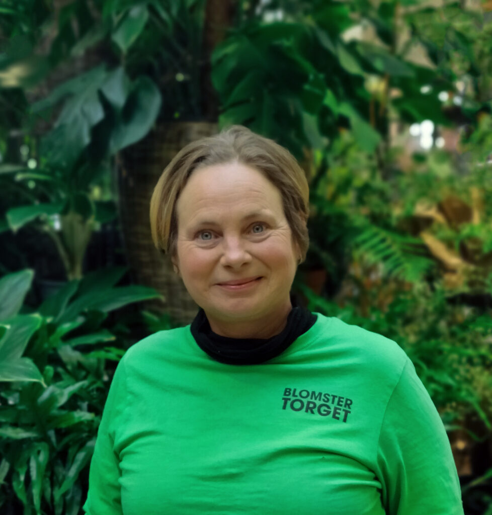 Sandra Blomstertorget