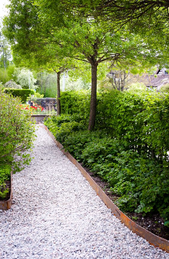 Vårens häckplantor