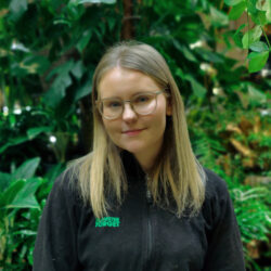 Caroline T Blomstertorget