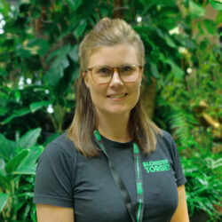 Hanna Rox Blomstertorget