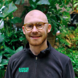 Viktor Blomstertorget