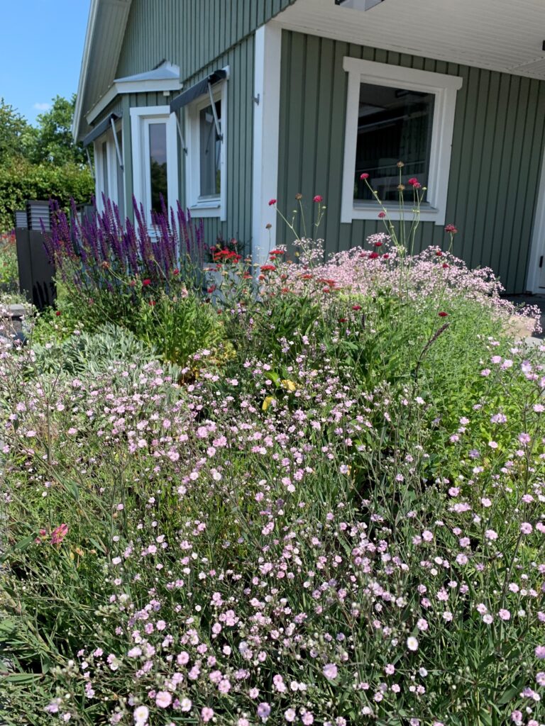 Trädgårdsrådgivning