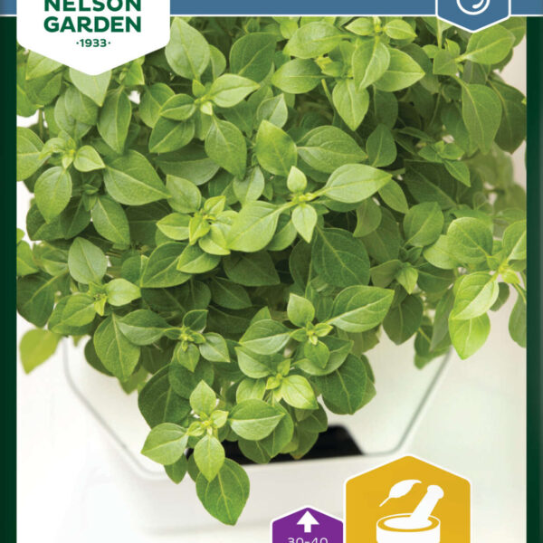 Basilika Småbladig - Harvy