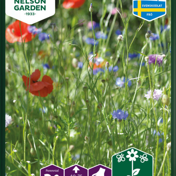 Mix Ängsblommor