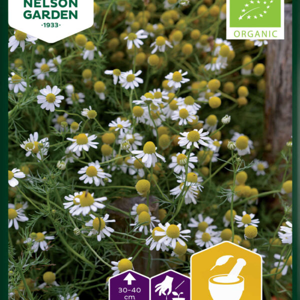 Kamomill - Organic