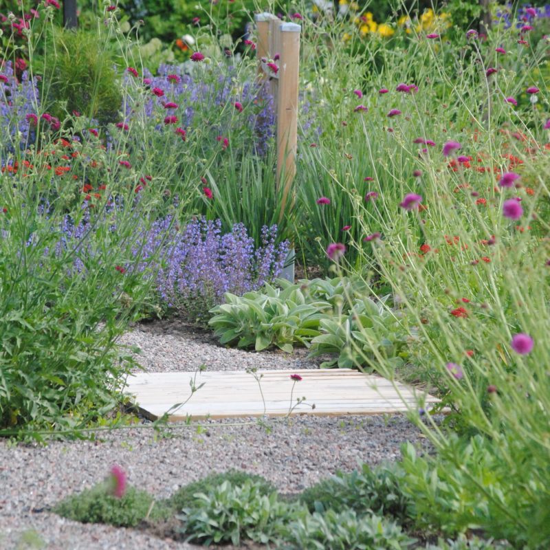 Planera din trädgård