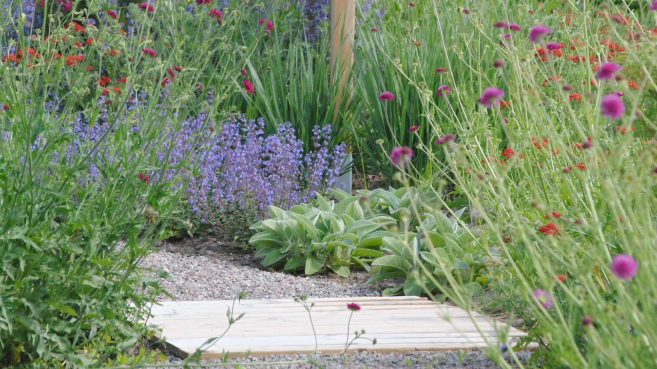 Planera din trädgård