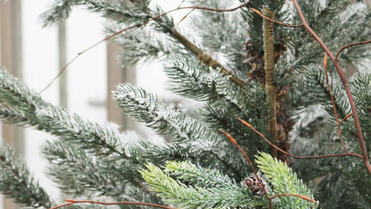 Adventstider Adventstider med vacker adventsgran